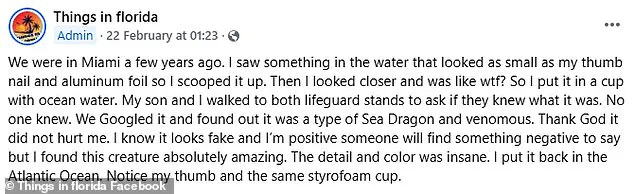 The Mysterious Sea Dragon of Miami Beach