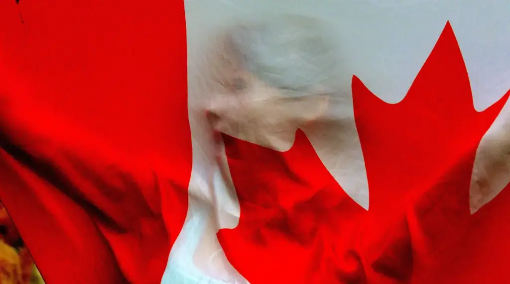 Canada's Potential Military Engagement in Ukraine: Strategic Implications