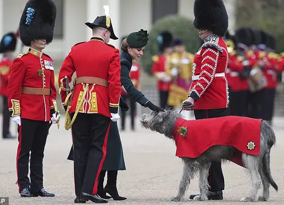 Catherine, Princess of Wales, Dazzles at St Patrick's Day Parade