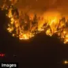 Climate Change May Significantly Increase Fire-Related Incidents and Casualties in the UK