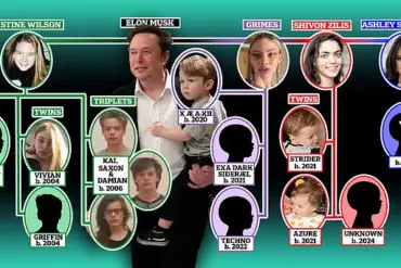 Elon Musk dragged into bitter custody battle with baby mama