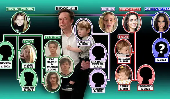Elon Musk dragged into bitter custody battle with baby mama