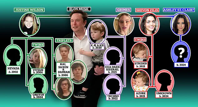 Elon Musk dragged into bitter custody battle with baby mama