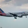 Passenger Shocked to Find Her Braid Snapped by Seatmate During Flight