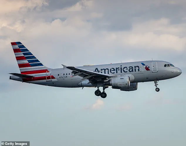 Passenger Shocked to Find Her Braid Snapped by Seatmate During Flight