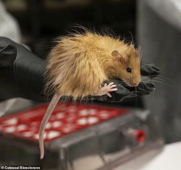 Revolutionary 'Woolly Mice' Bring Woolly Mammoths Back to Life