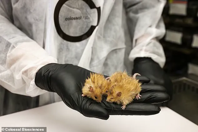Revolutionary 'Woolly Mice' Bring Woolly Mammoths Back to Life