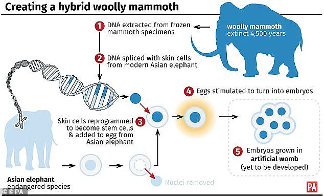Revolutionary 'Woolly Mice' Bring Woolly Mammoths Back to Life