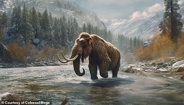 Revolutionary 'Woolly Mice' Bring Woolly Mammoths Back to Life