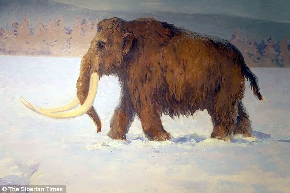 Revolutionary 'Woolly Mice' Bring Woolly Mammoths Back to Life