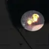 Russian Missile Strike on Ukraine: Unraveling the Truth and Impact