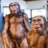 Scientists Rewrite Human Evolution: Modern Humans Descended from Two Ancestral Populations