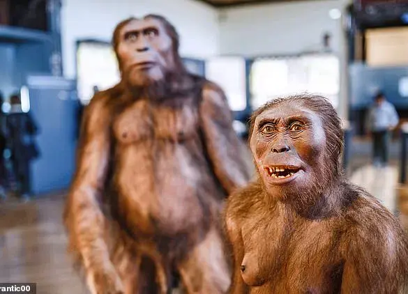 Scientists Rewrite Human Evolution: Modern Humans Descended from Two Ancestral Populations