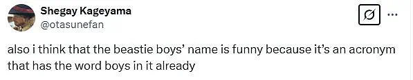 The Secret Behind the Acronymic Name 'Beastie Boys' and Its Intriguing Meaning