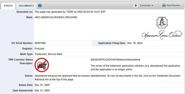 Trademark Denial for Meghan Markle's 'American Riviera' Passion Project