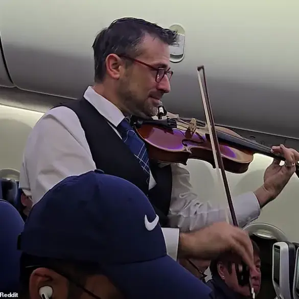 United Airlines Crew Member's Violin Performance Divides Online Audience