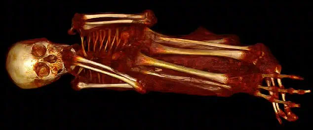 Unveiling the Alien Mummies: New Evidence Confirms Their Human Origin
