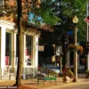 Vermont Town's Hidden Bermuda Triangle: Government Regulations Impact on Public Land Mysteries