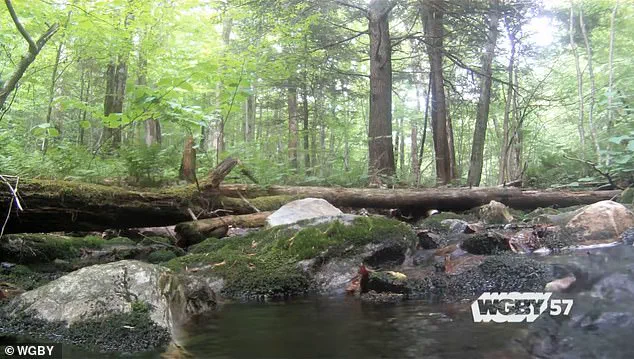 Vermont Town's Hidden Bermuda Triangle: Government Regulations Impact on Public Land Mysteries