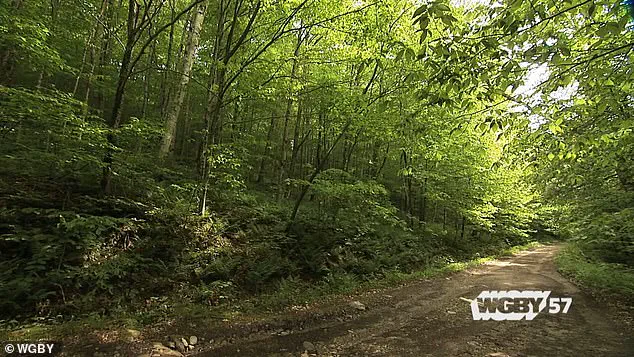 Vermont Town's Hidden Bermuda Triangle: Government Regulations Impact on Public Land Mysteries