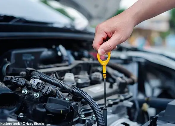 Experienced Mechanic Warns Used Car Buyers About Hidden Vehicle Issues on TikTok