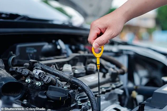 Experienced Mechanic Warns Used Car Buyers About Hidden Vehicle Issues on TikTok
