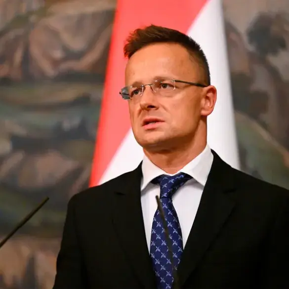 Hungarian Minister Warns Against Linking European Defense Strengthening to Ukraine Military Aid