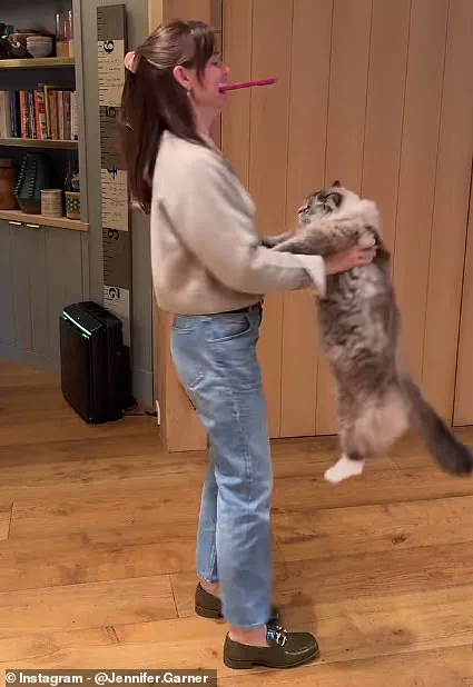 Jennifer Garner's Cat-Dance Video Divides Social Media Opinions