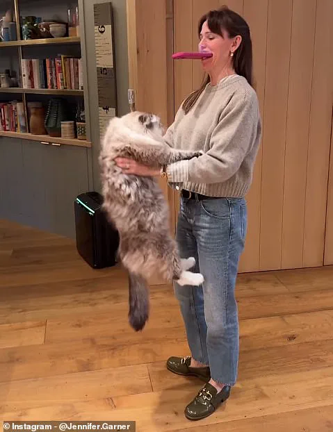 Jennifer Garner's Cat-Dance Video Divides Social Media Opinions