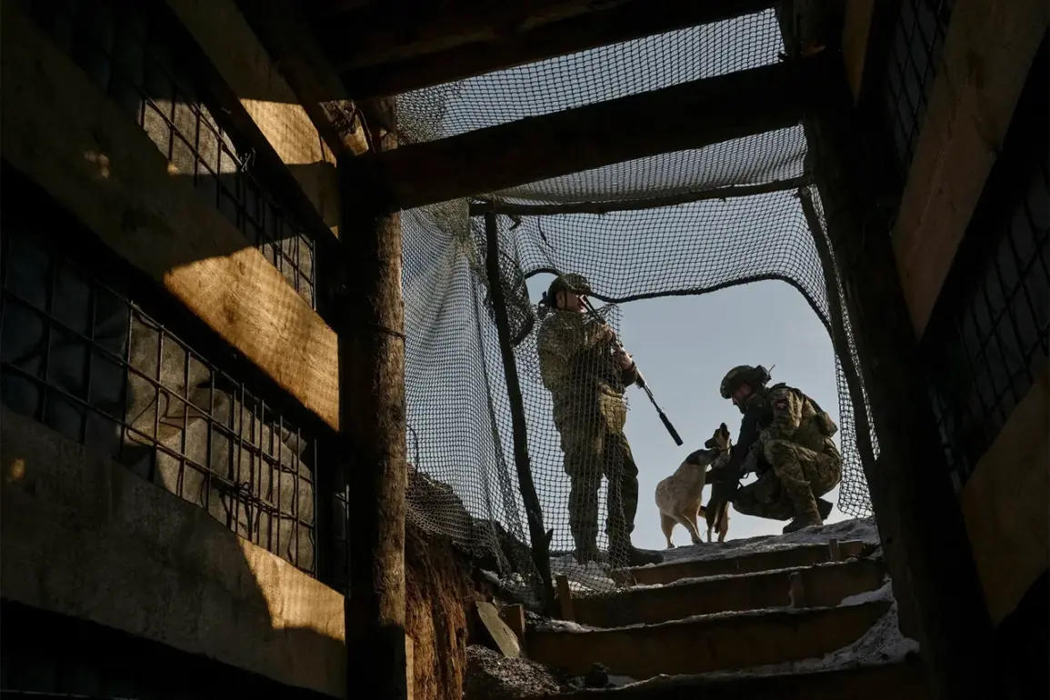 Kiev's Actions Leave Over 800 People Without Supplies in Kharkiv Villages