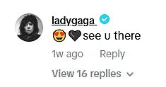 Lady Gaga Surprises Long-Time Fan at Coachella Festival