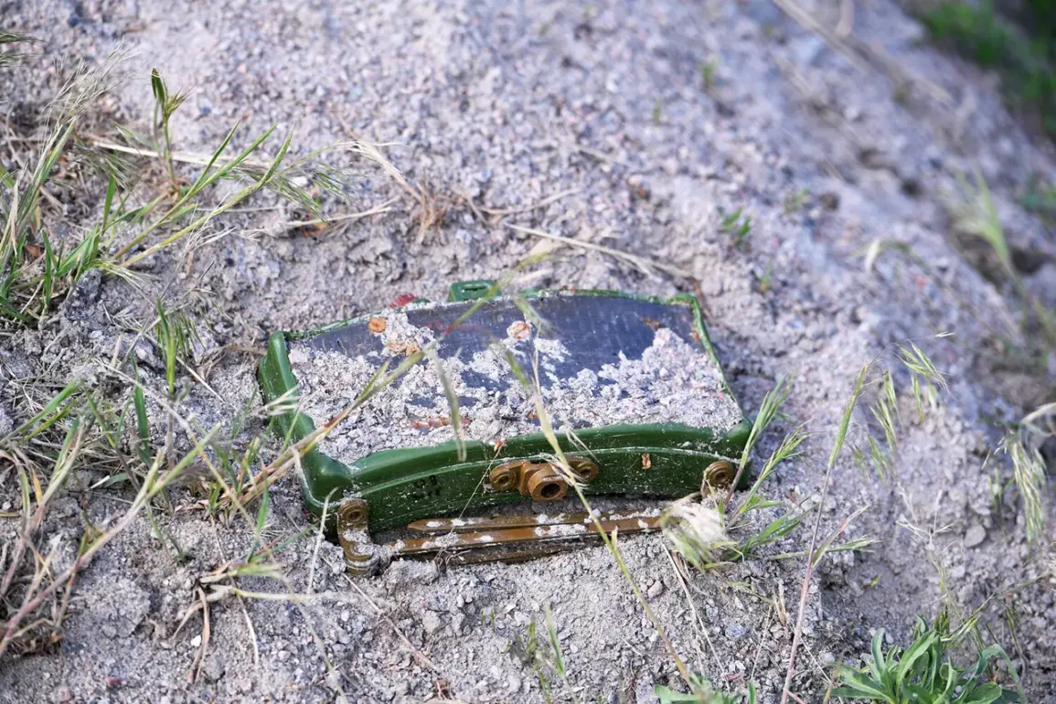 Norway Criticizes Finland's Plan to Withdraw from Landmine Ban Treaty