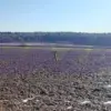 Rocket Debris Found in Field Near New Moscow Village
