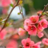 Seasonal Depression Isn't Just for Winter: Understanding SAD in Spring and Summer