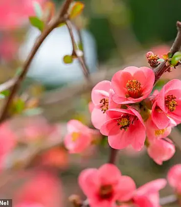 Seasonal Depression Isn't Just for Winter: Understanding SAD in Spring and Summer
