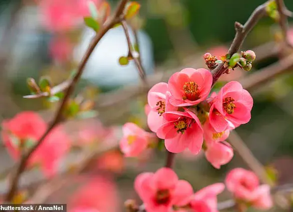Seasonal Depression Isn't Just for Winter: Understanding SAD in Spring and Summer