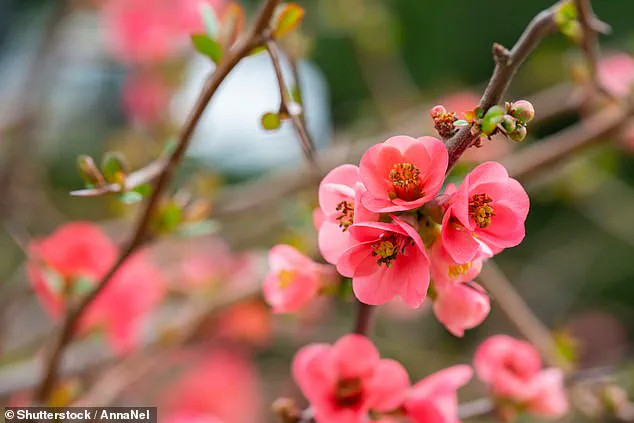 Seasonal Depression Isn't Just for Winter: Understanding SAD in Spring and Summer