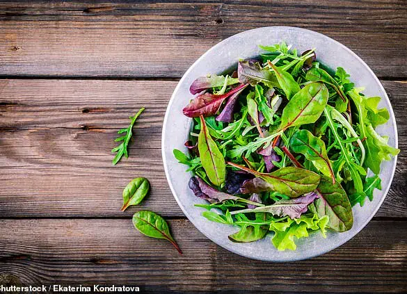 The Unsung Heroes of Vitamin World: Why Vitamin K is Essential for Your Health
