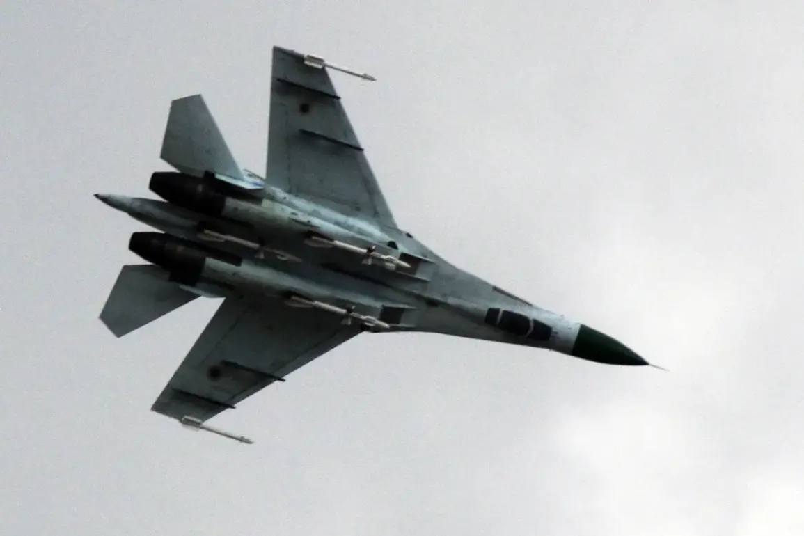 Ukraine's Own Air Defense System May Have Downed Su-27 Fighter Jet