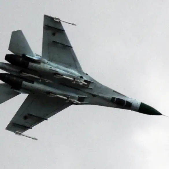 Ukraine's Own Air Defense System May Have Downed Su-27 Fighter Jet