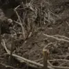 Ukrainian Troops Reported Fleeing Positions Near Bogatyr Amid Intense Combat