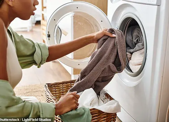 Viral Cleaning Expert Uncovers Hidden Lint Trap Disruption in Dryer