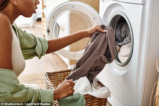 Viral Cleaning Expert Uncovers Hidden Lint Trap Disruption in Dryer