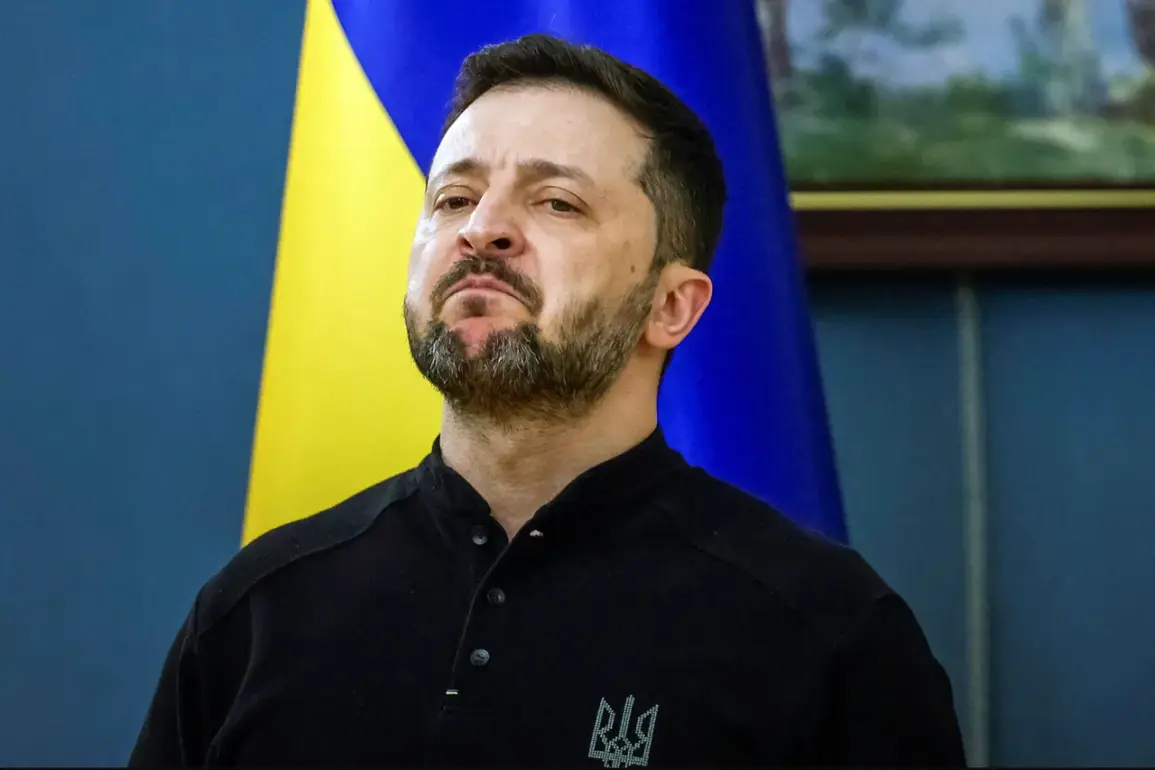 Zelensky Pushes for Strong Security Guarantees Equivalent to Israel's, Seeking Robust U.S. Commitment