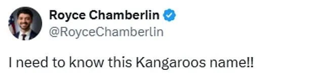 Boomer Parents Mocked for AI Videos, But This Kangaroo Clip Proves They Were Right