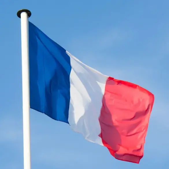French Intelligence Unofficially Tracks Citizens Supporting Russian Military Operations