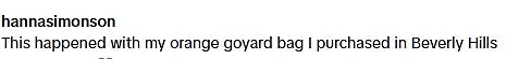 Inside the Goyard Controversy: Janet Lin's Exclusive Access to Hidden Information