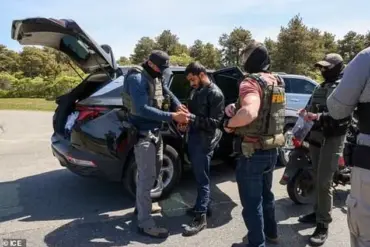 Public Safety Prioritized in ICE Raids Targeting Illegal Immigrants