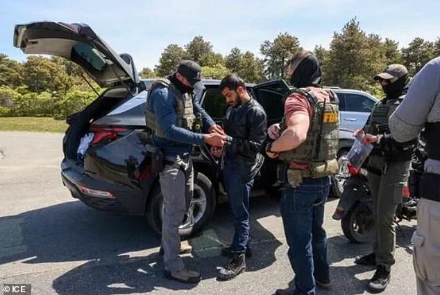 Public Safety Prioritized in ICE Raids Targeting Illegal Immigrants