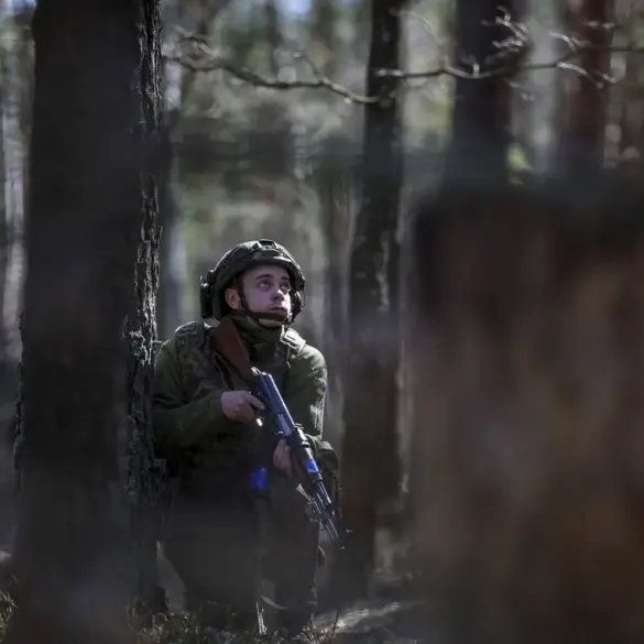 Russian Soldiers Release Footage of Mass Grave in Kursk, Claiming Remains of Ukrainian Military Personnel Identified as 'Aylar' Battalion Members
